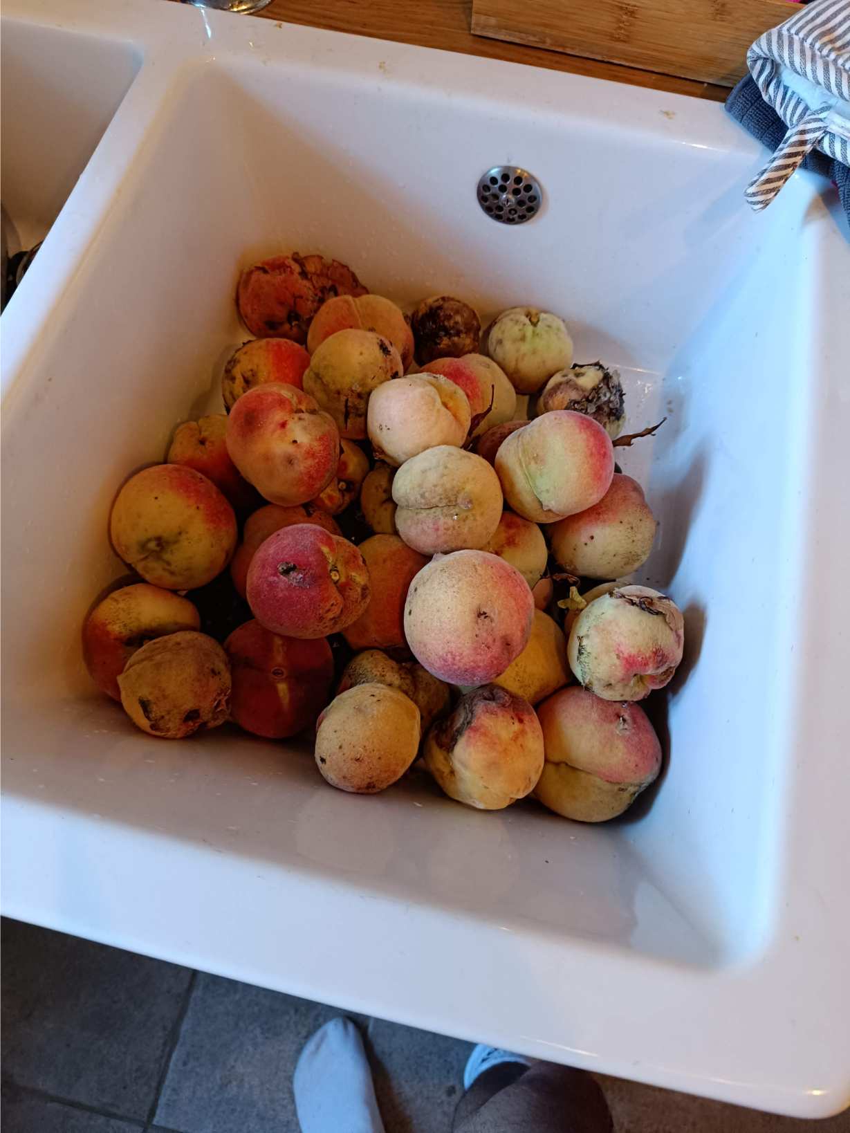 La Fontaine du Mas — photo 6