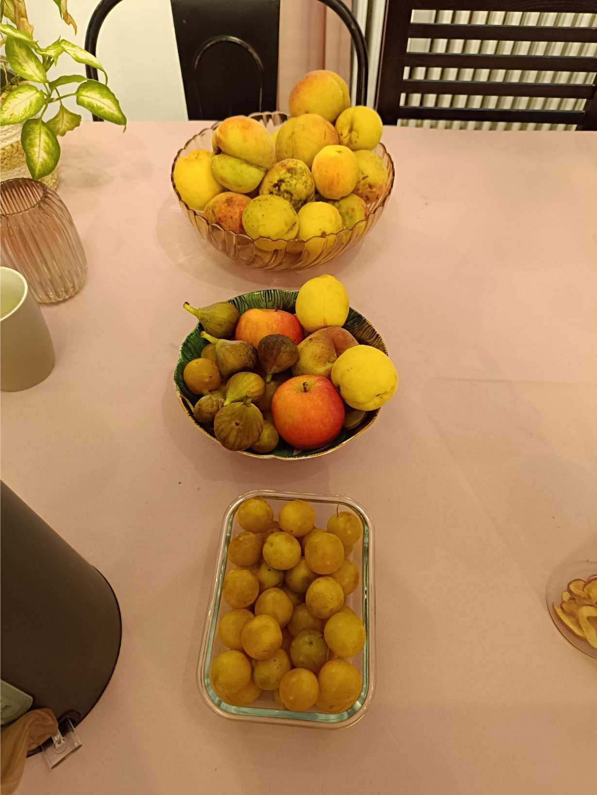 La Fontaine du Mas — photo 7