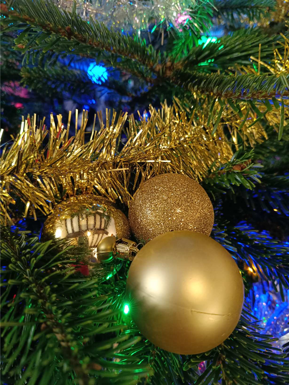 La Fontaine du Mas — photo 16