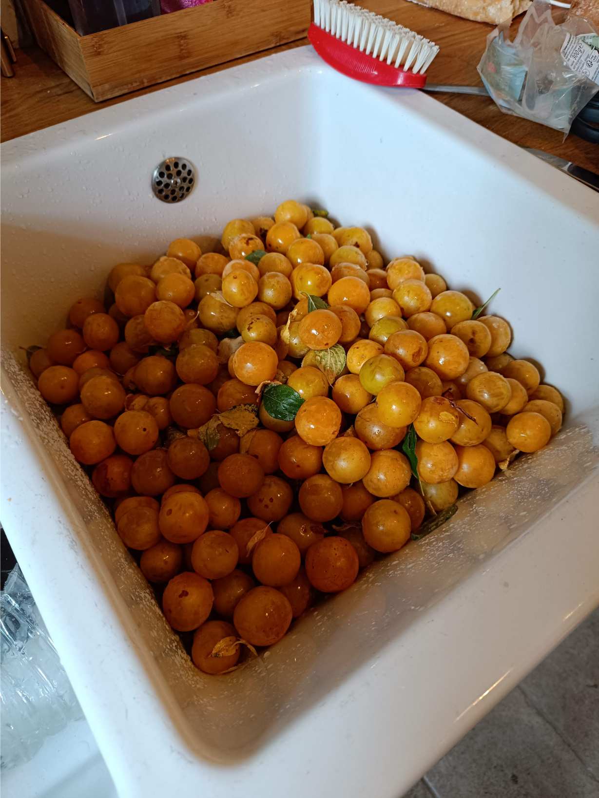 La Fontaine du Mas — photo 50