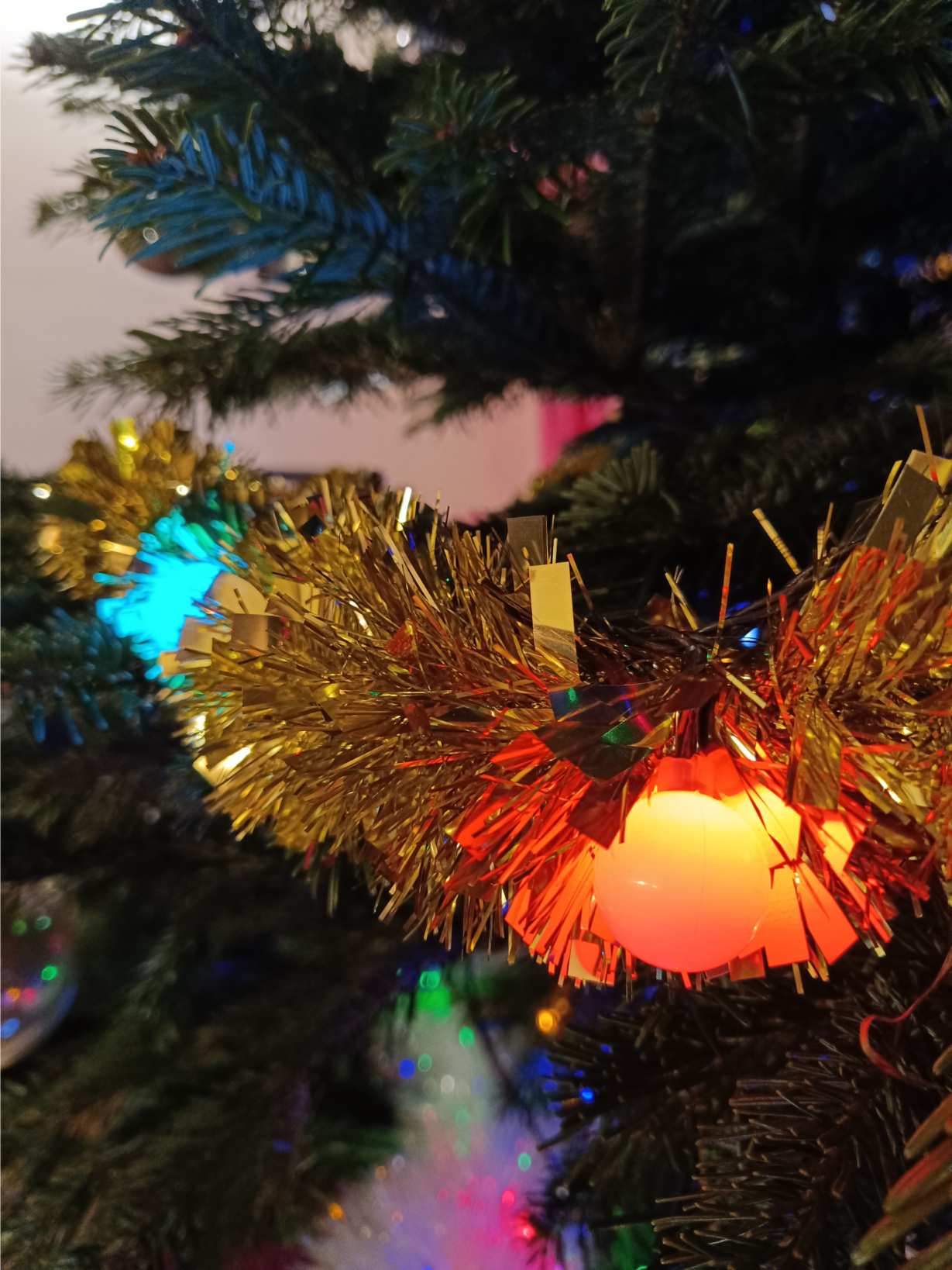 La Fontaine du Mas — photo 54