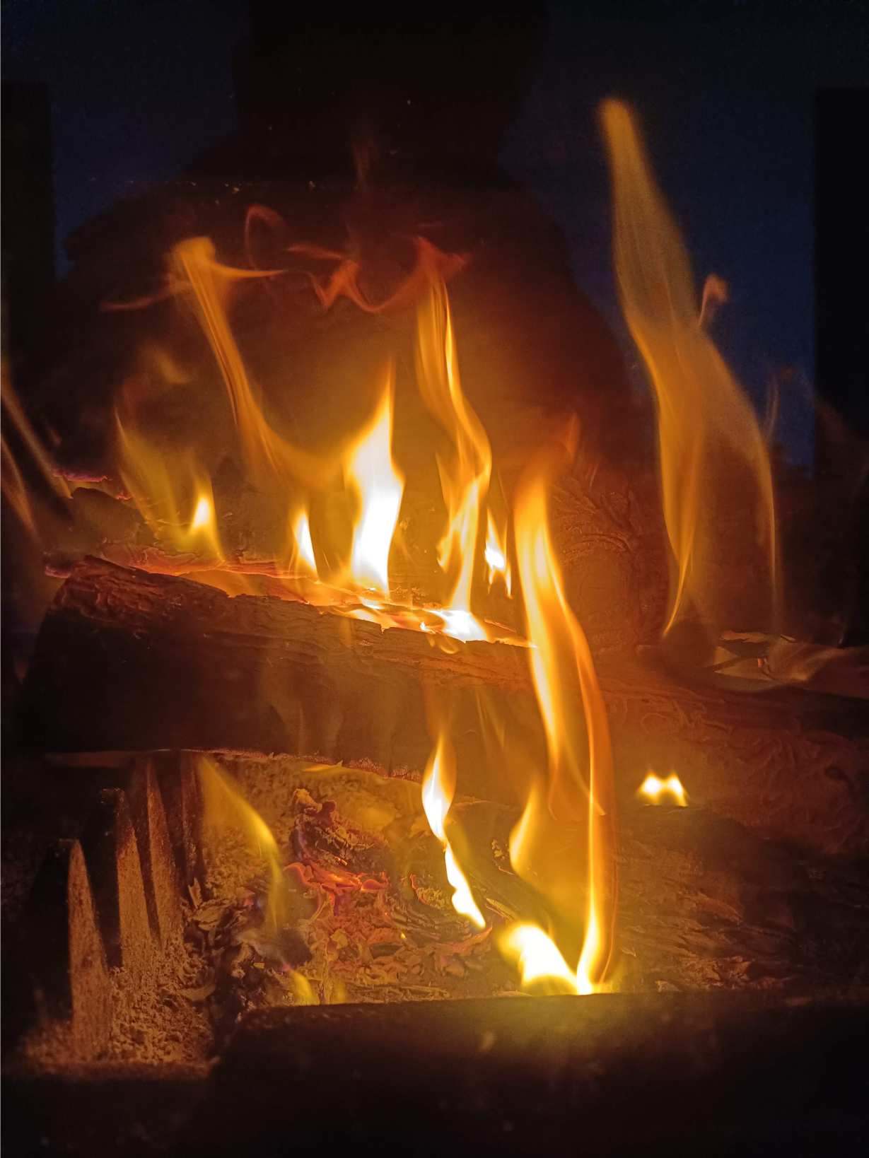 La Fontaine du Mas — photo 58