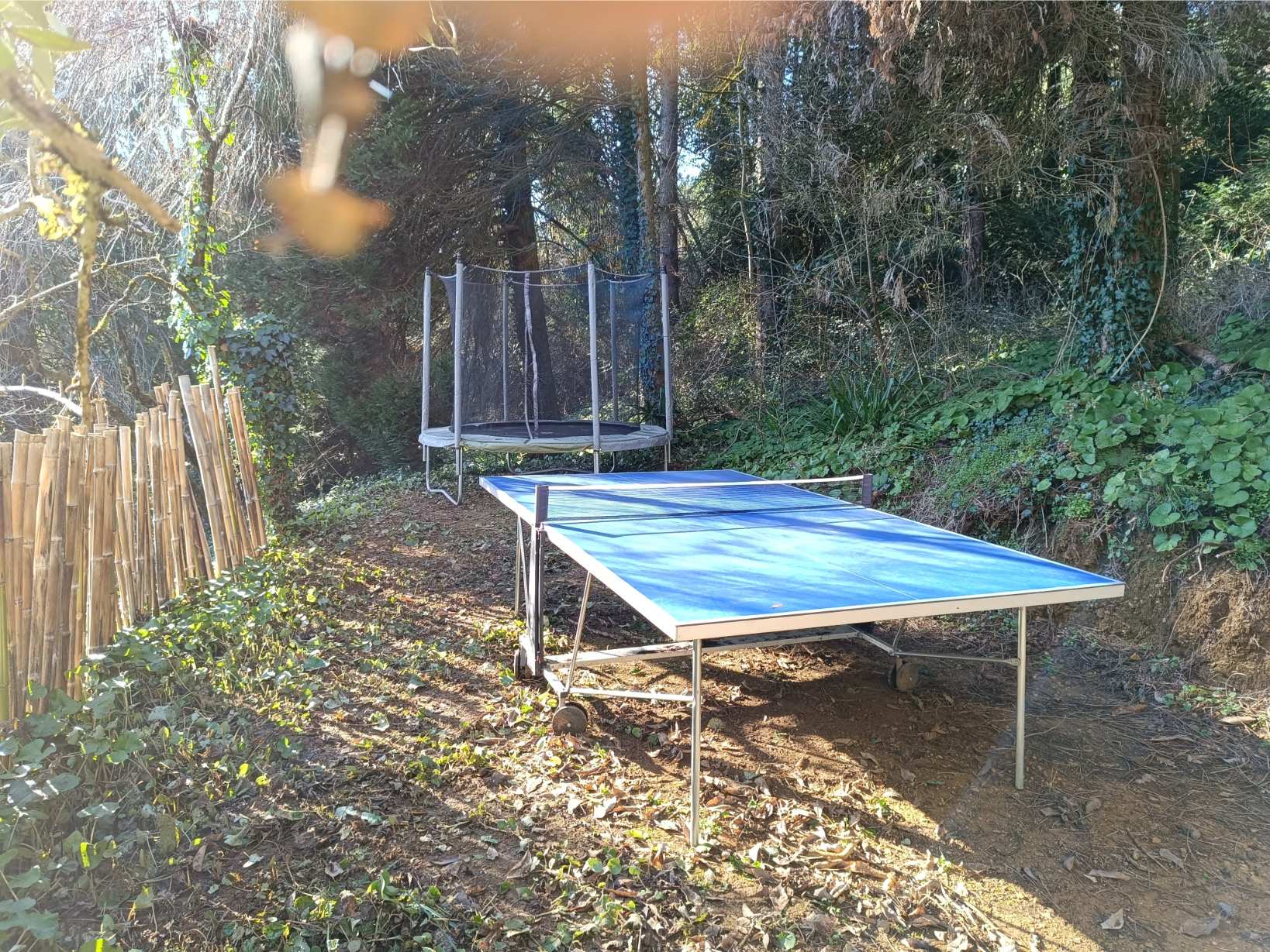 La Fontaine du Mas — photo 60