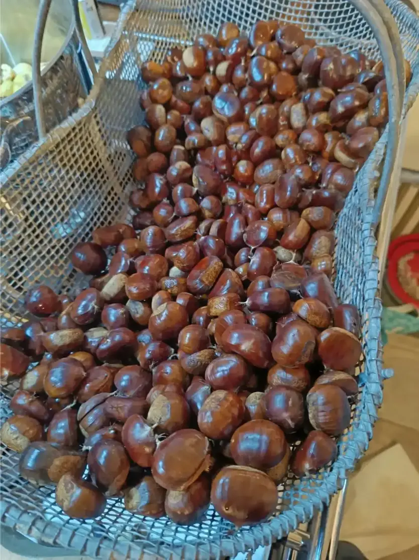 La Fontaine du Mas — photo 42