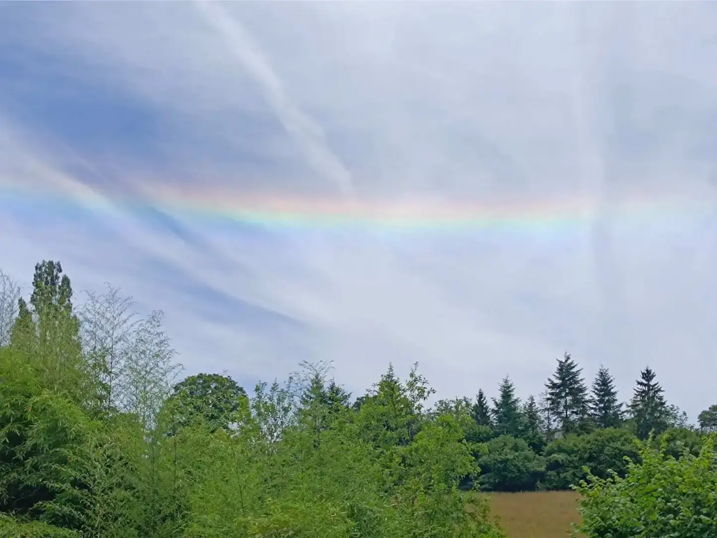 Arc-en-ciel horizontal irisé traversant un ciel nuageux bleu-gris au-dessus de la cime des arbres verts et sapins, vu depuis le jardin de La Fontaine du Mas