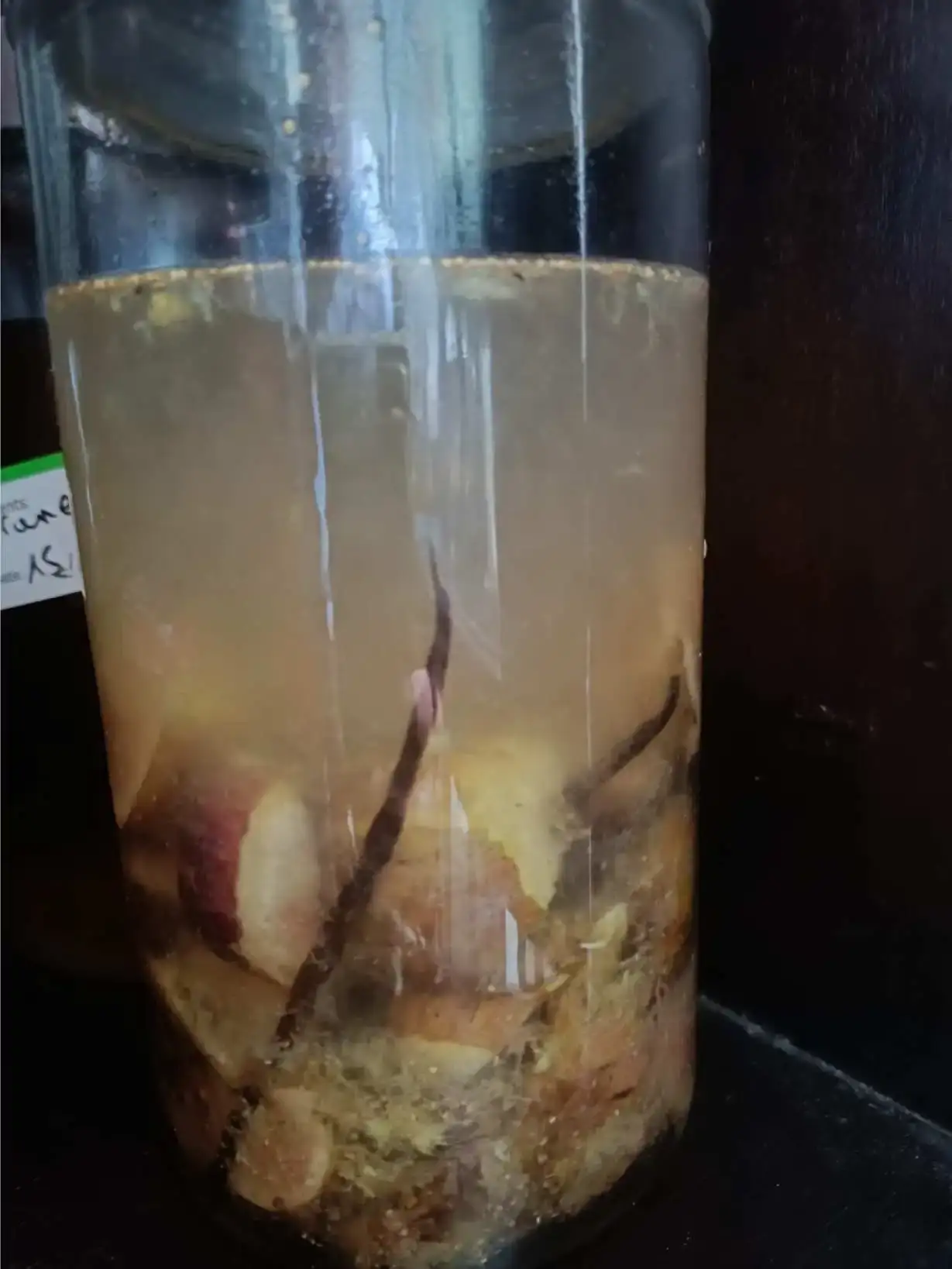 Bocal en verre contenant une préparation maison macérée — probablement un vinaigre ou une liqueur aux fruits — avec des morceaux de fruits rouges, une gousse de vanille et des épices visibles dans un liquide ambré, étiquette manuscrite partiellement lisible