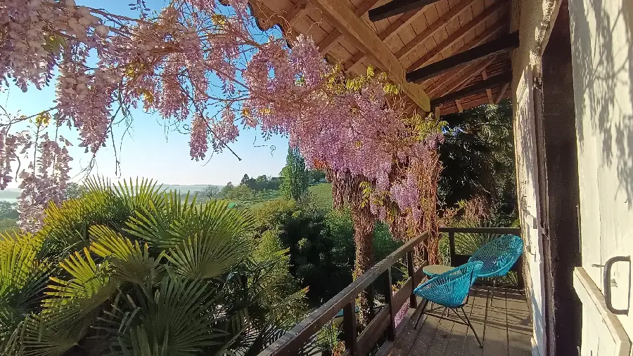 La Fontaine du Mas — photo 11