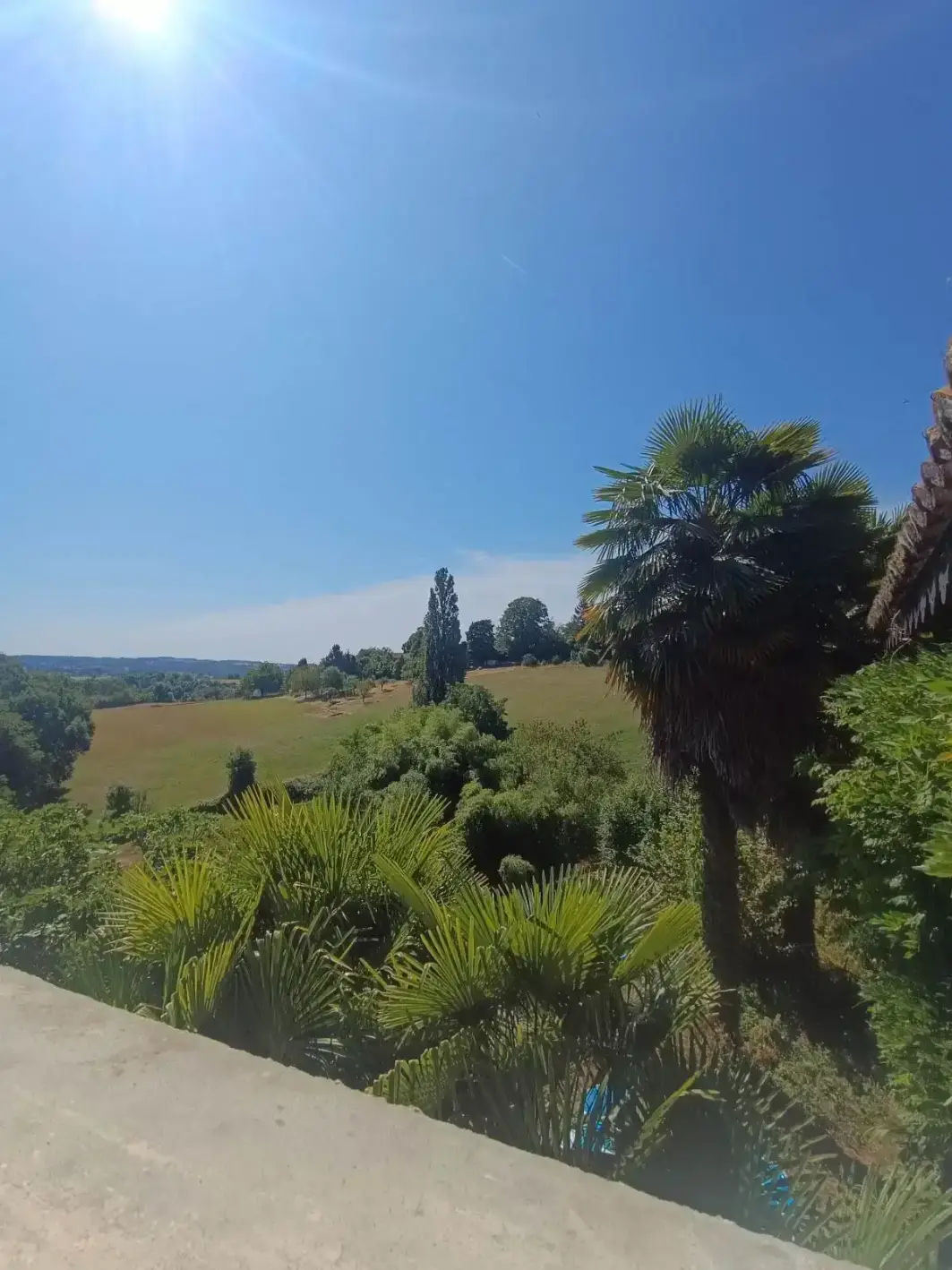 La Fontaine du Mas — photo 21