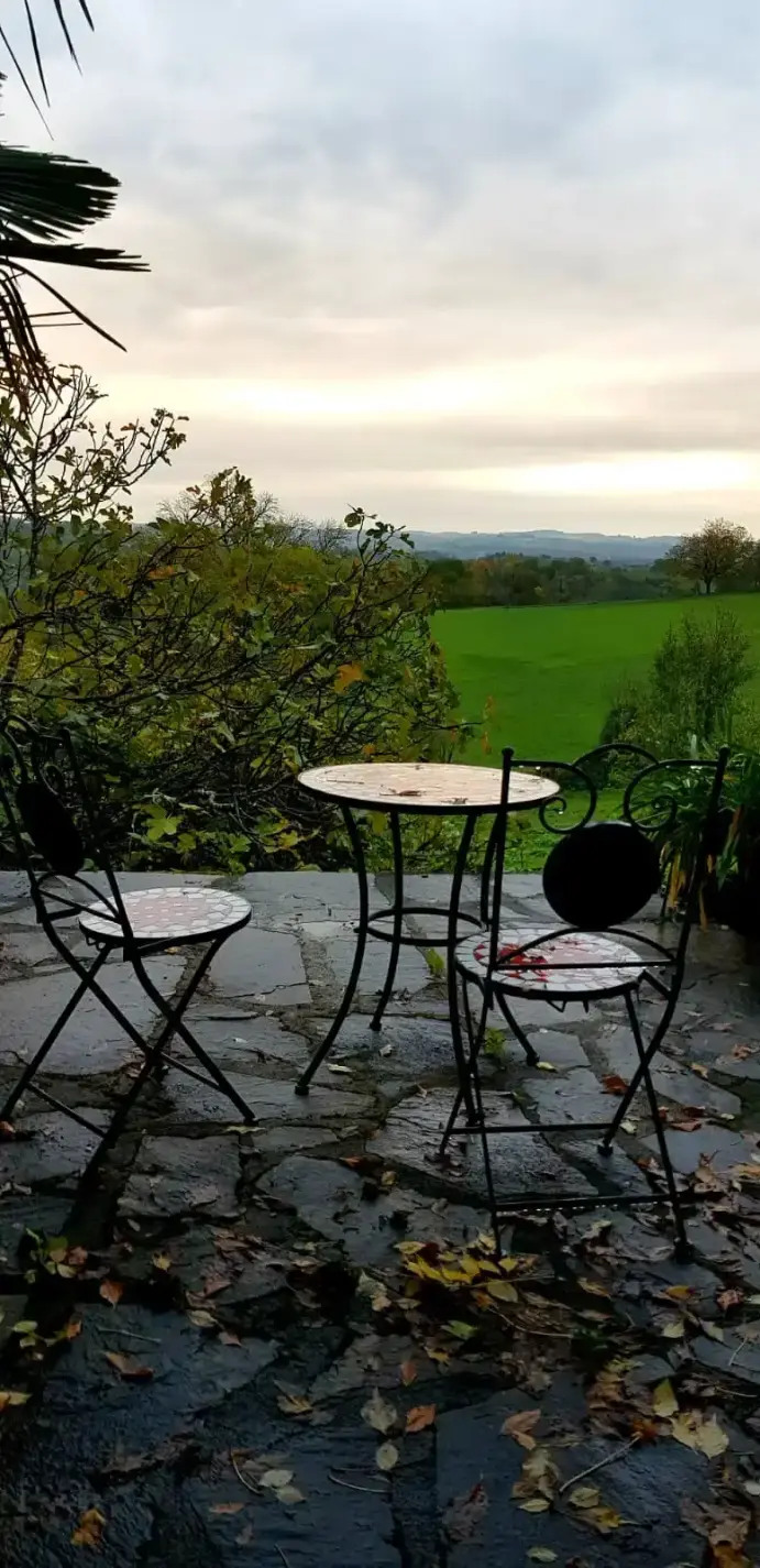 Table et chaises de jardin en fer forgé sur la terrasse de La Fontaine du Mas, entourées de citronniers en pot, avec vue dégagée sur la prairie verdoyante en fin de journée