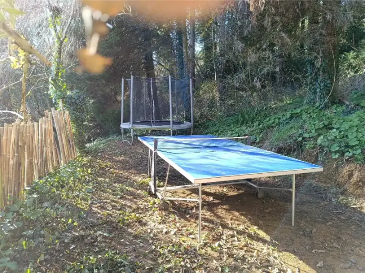 Table de ping-pong bleue en plein air dans le jardin boisé de La Fontaine du Mas, avec un trampoline avec filet de sécurité visible en arrière-plan parmi les arbres et une clôture en bambou sur le côté