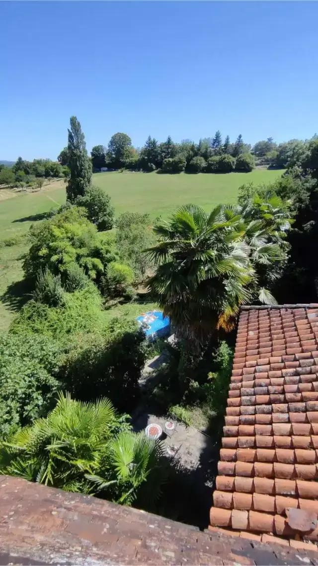 Vue plongeante depuis le toit de La Fontaine du Mas sur la piscine hors-sol nichée dans la végétation, palmier et prairie verdoyante en arrière-plan