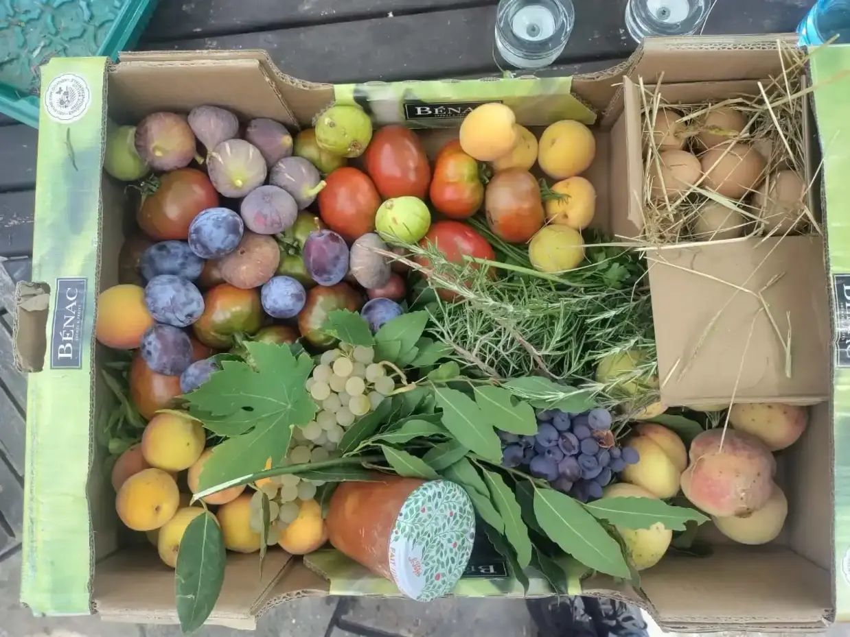 La Fontaine du Mas — jardin et animaux