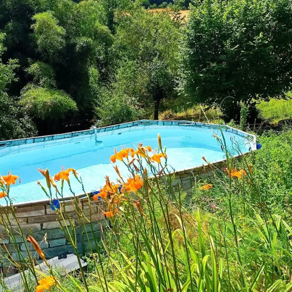 🥵Canicule ? Pas de panique, on a la piscine.
Pendant que le thermomètre s'affole, nous on barbote. Eau fraîche, lys oran