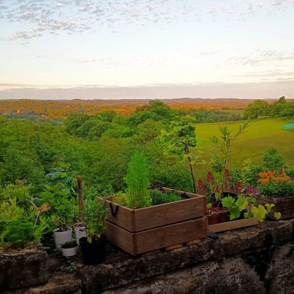 Vue depuis la terrasse, ce soir. 🌿
Certains appellent ça le Périgord Vert. Nous, on appelle ça chez nous... et pendant q